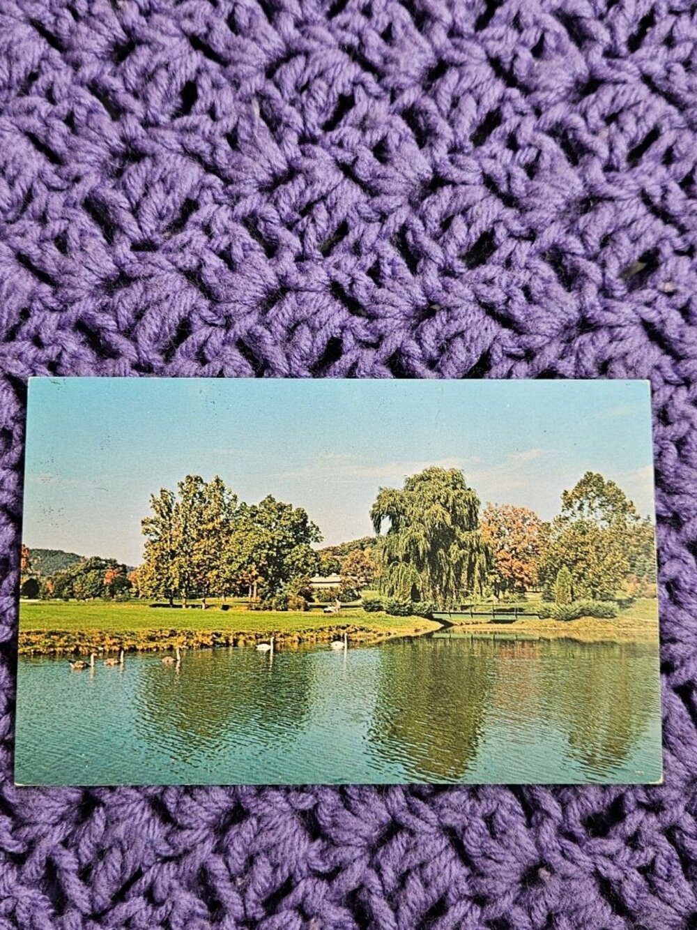 Greenbrier White Sulphur Springs West Virginia Postcard